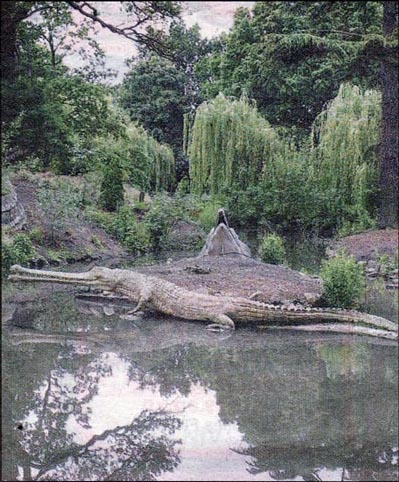 Crystal Palace Parl Dinosaur area